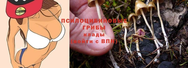 мяу мяу кристалл Инсар