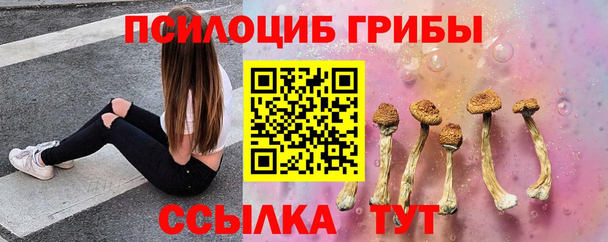 Псилоцибиновые грибы Psilocybe Ижевск