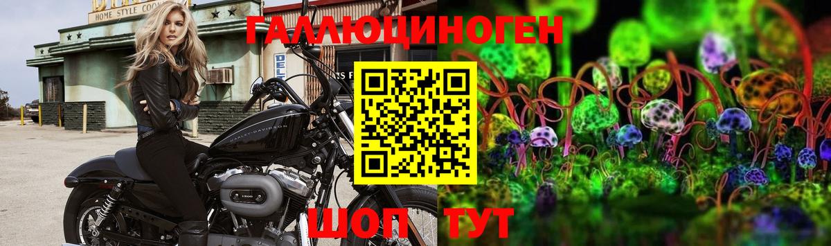 цены   Вход с VPN  Псилоцибиновые грибы Psilocybe  Ижевск  Псилоцибиновые грибы мицелий 